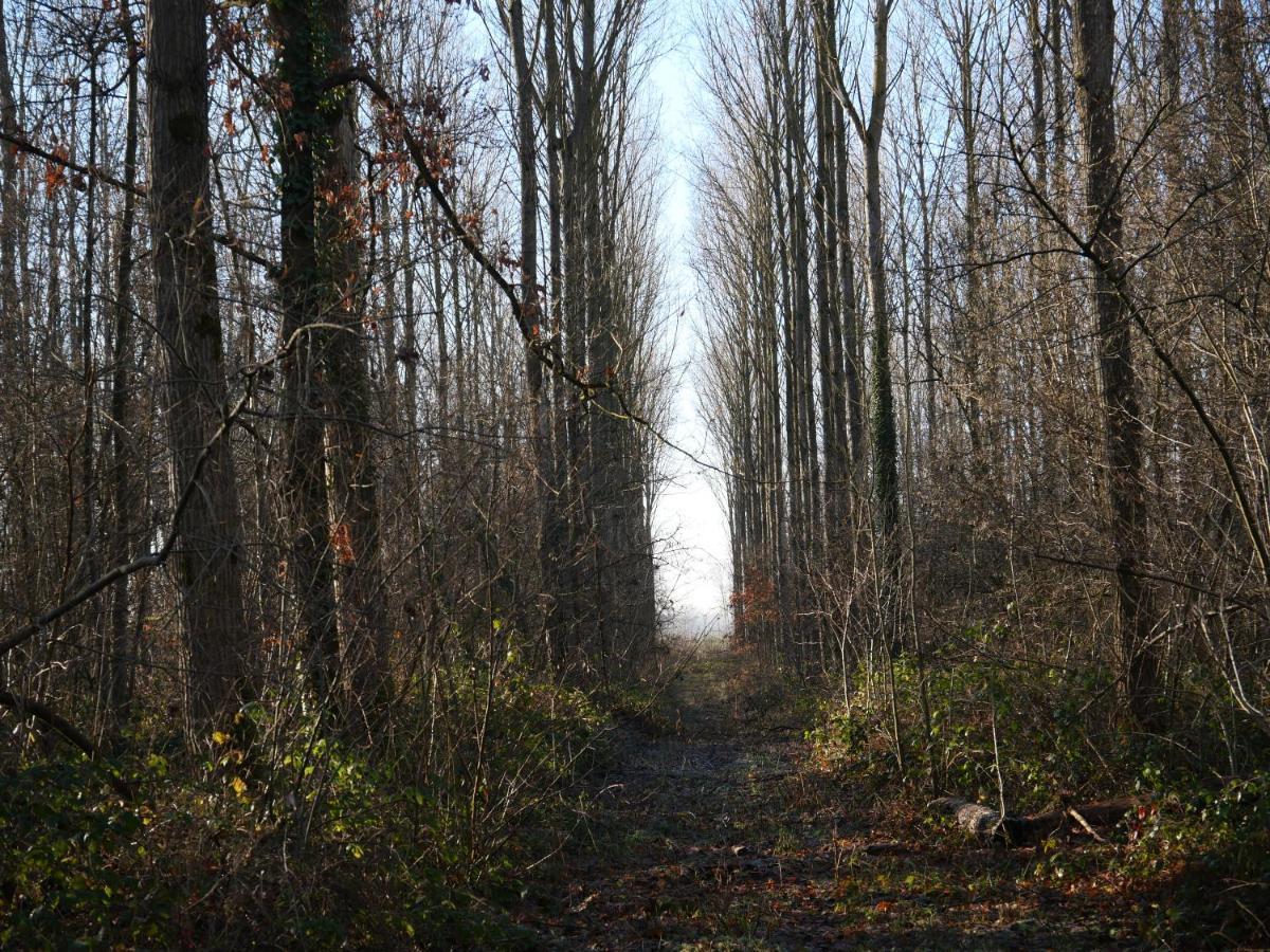 La Cabane Du Chasseur Flines-Les-Mortagne Екстер'єр фото